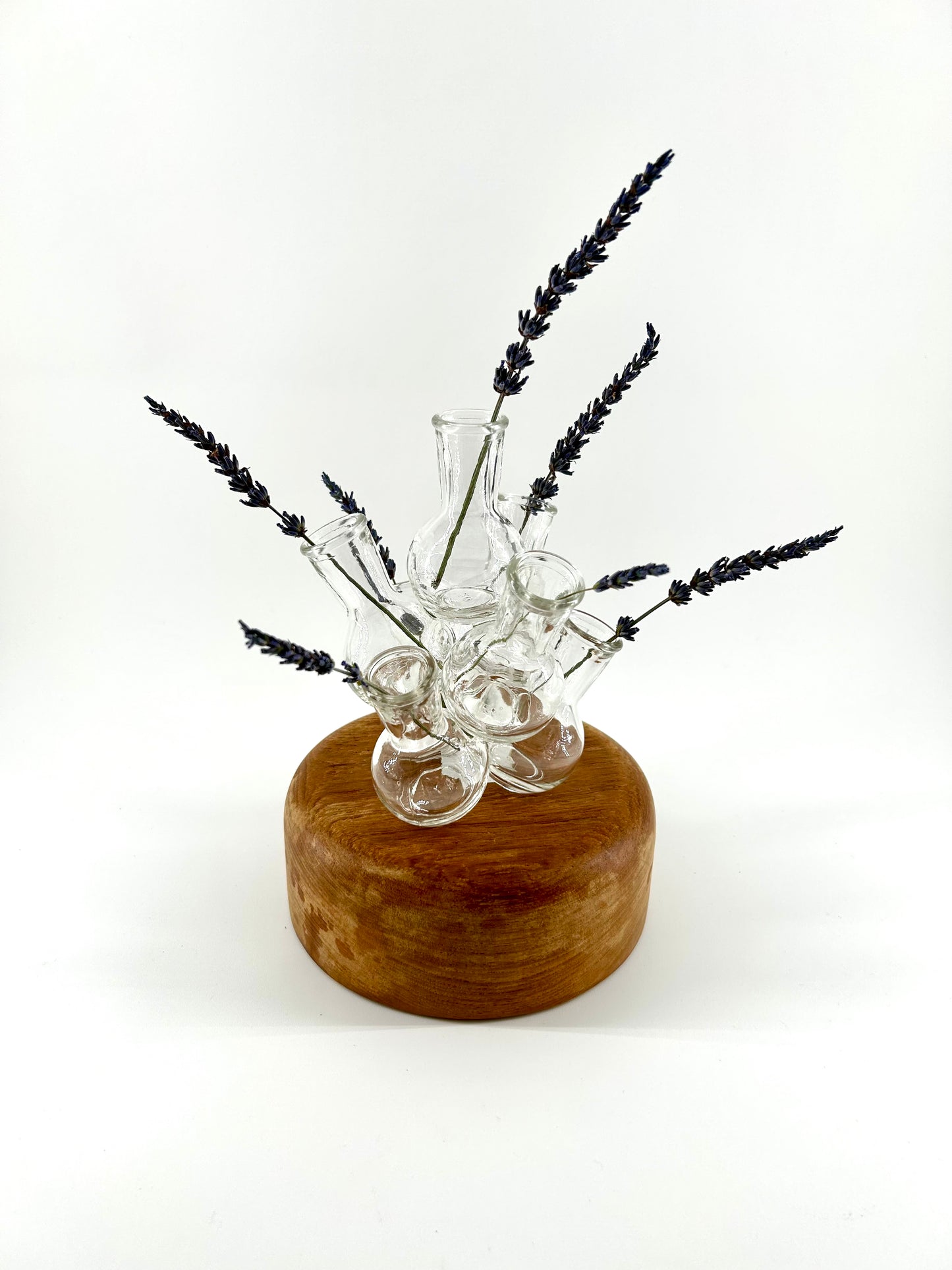 Glass Vase Cluster Flower Frog/Propagation Station