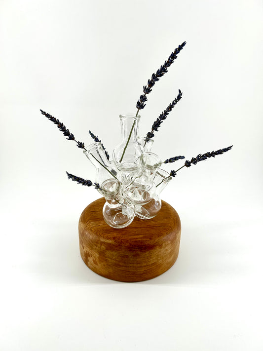 Glass Vase Cluster Flower Frog/Propagation Station