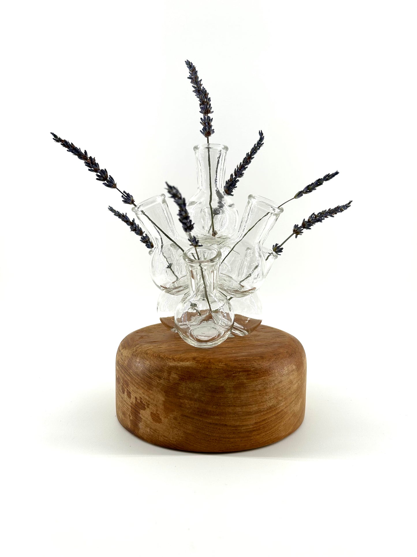 Glass Vase Cluster Flower Frog/Propagation Station
