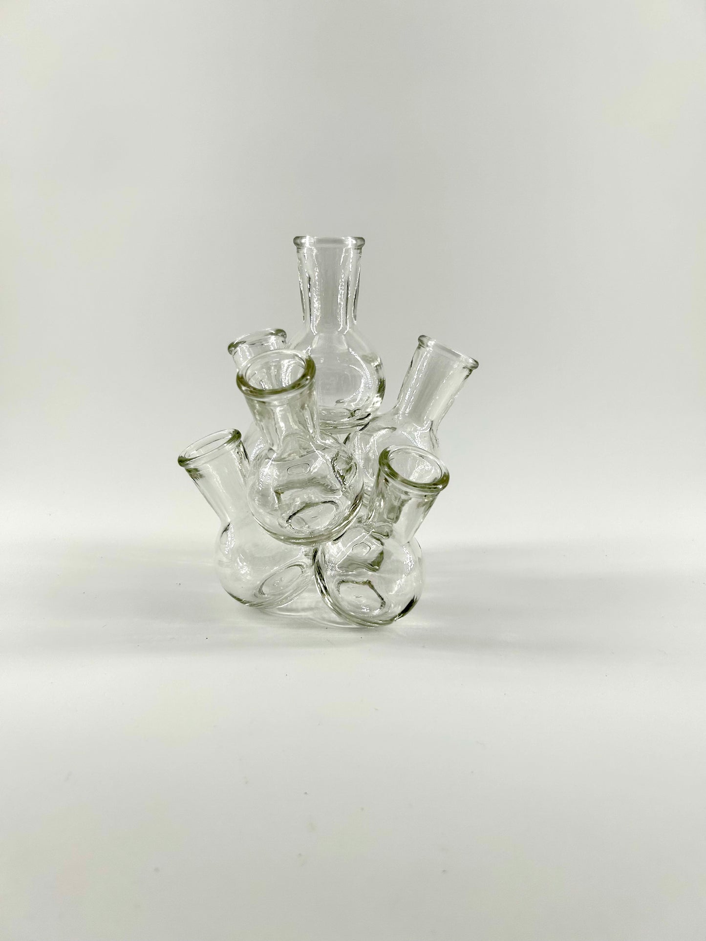 Glass Vase Cluster Flower Frog/Propagation Station