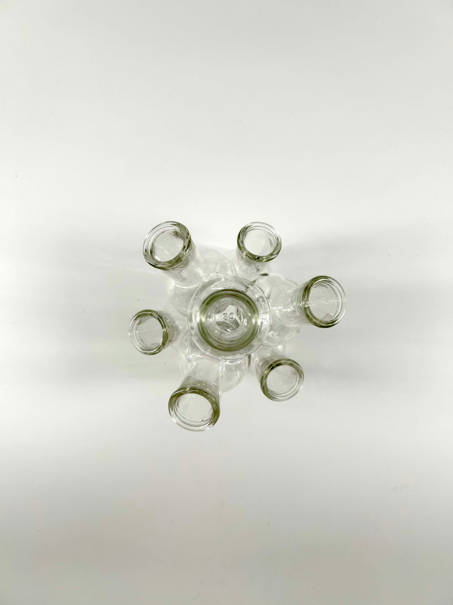 Glass Vase Cluster Flower Frog/Propagation Station