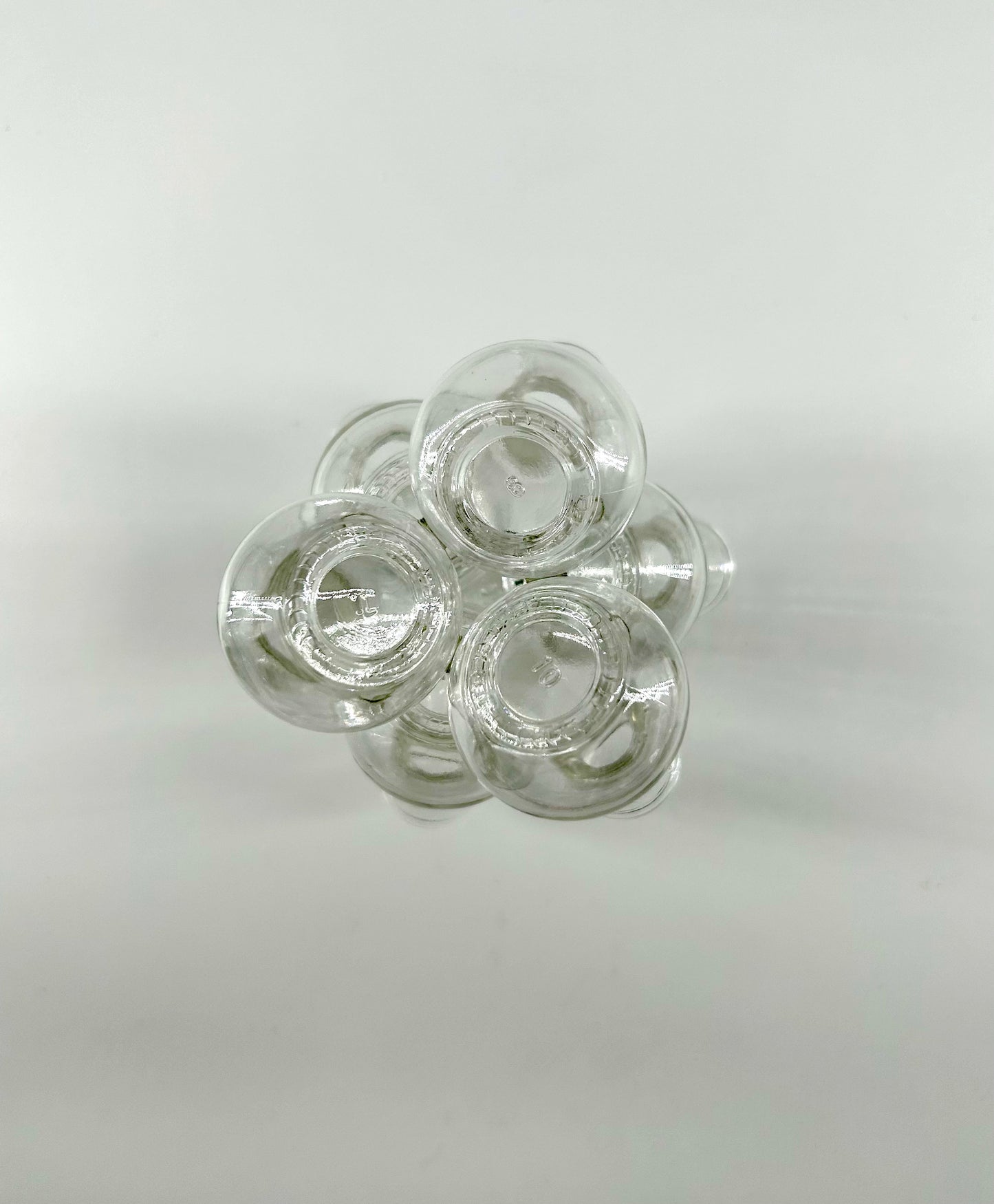 Glass Vase Cluster Flower Frog/Propagation Station