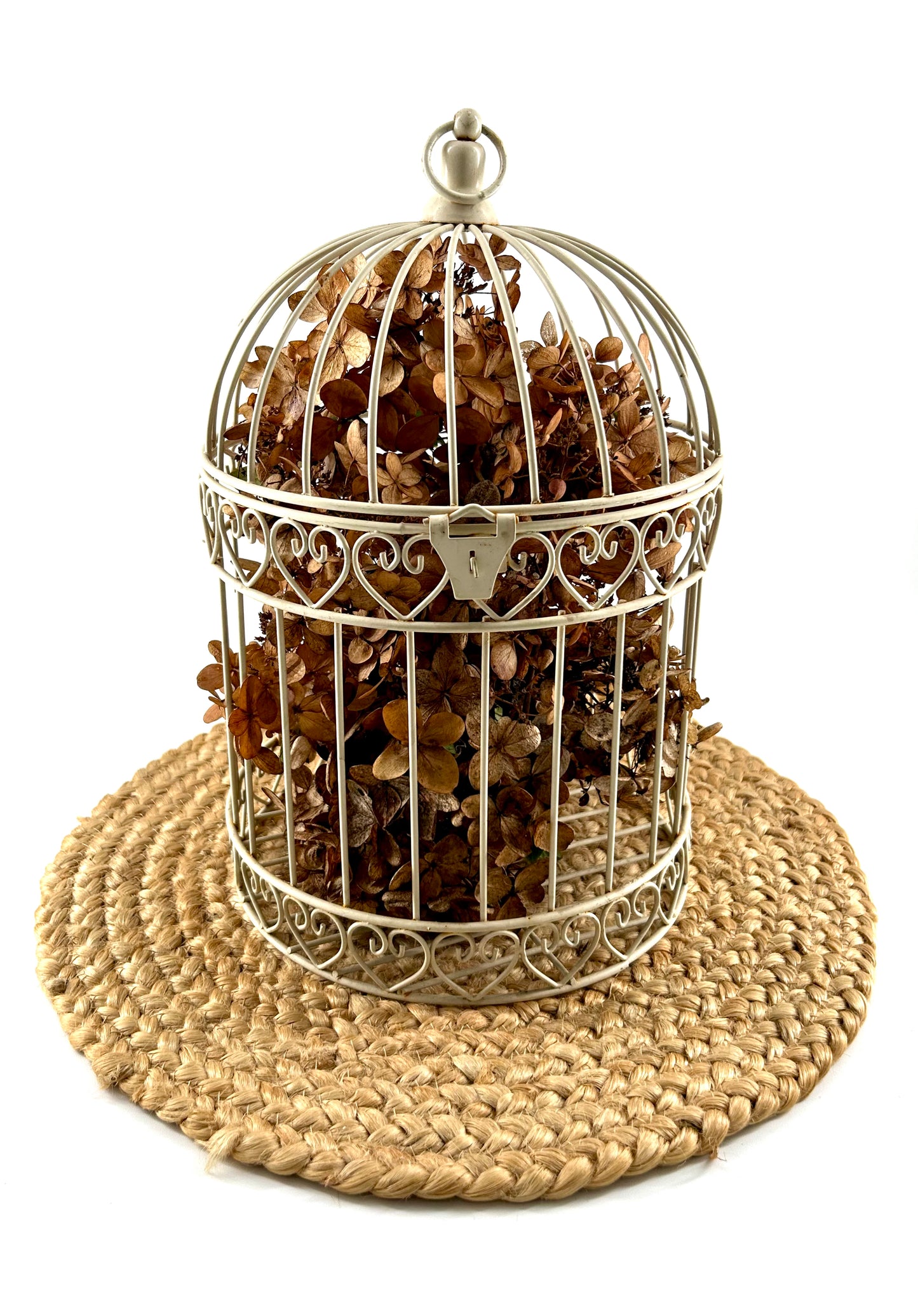 Decorative Metal Birdcage