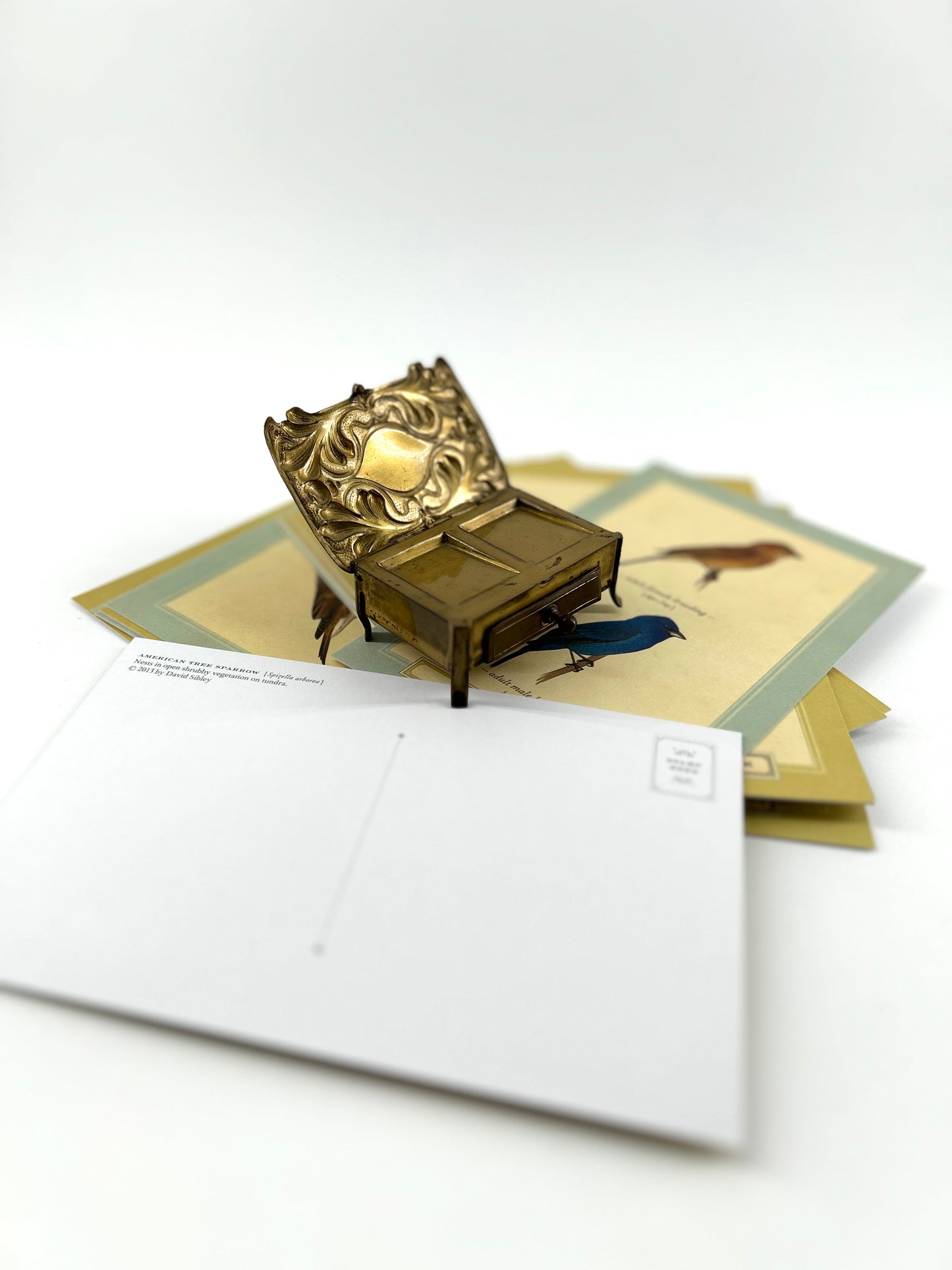 Victorian Brass Stamp Box