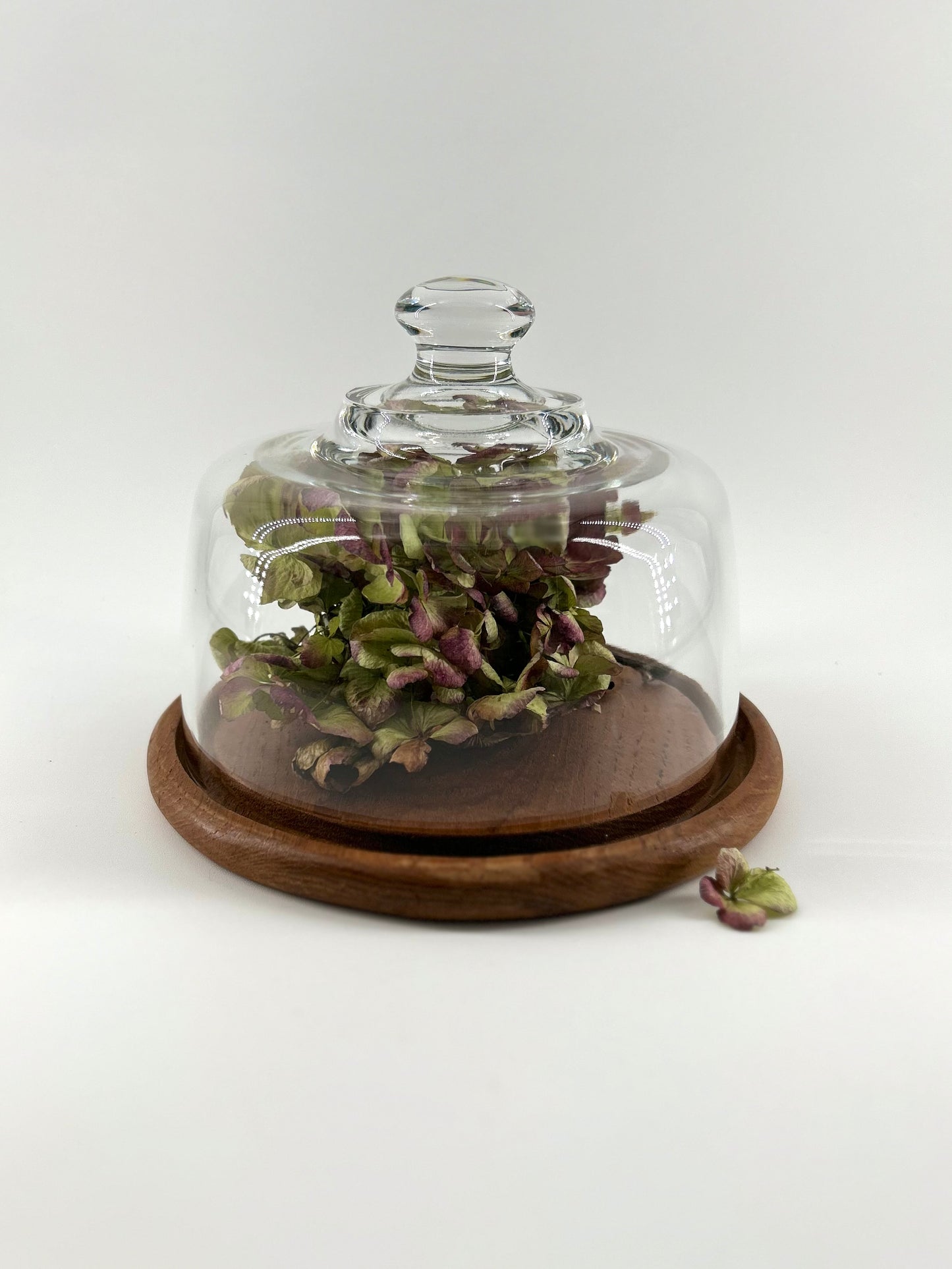 Teak Wood Tray with Glass Cloche