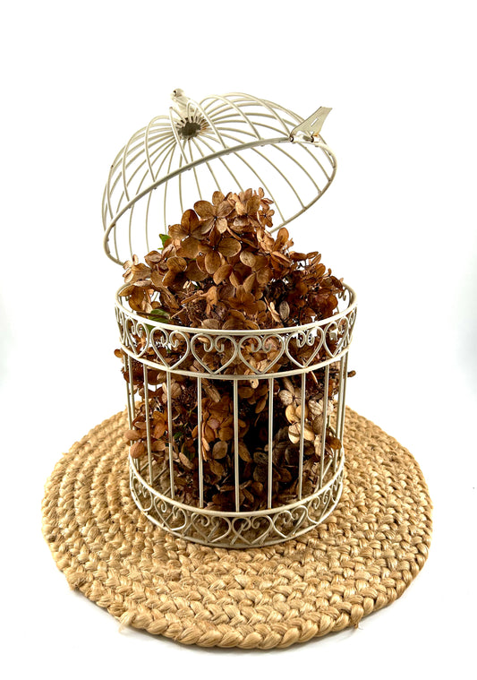 Decorative Metal Birdcage